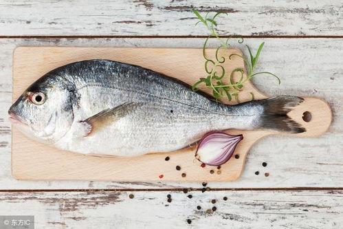 烂瓜可以喂鱼吃吗视频讲解,揭秘鱼儿美食的环保新选择