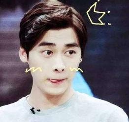 李易峰视频吃瓜群,揭秘明星幕后生活