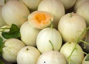 一岁可以吃白兰瓜吗视频,白兰瓜的适宜引入时间揭秘