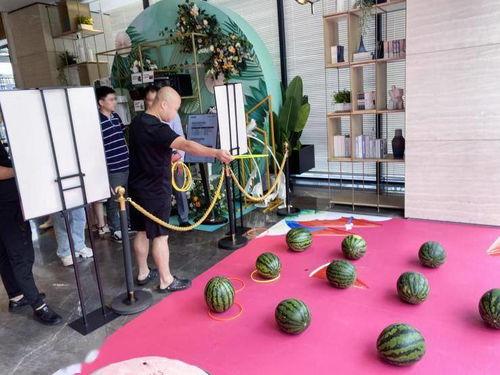 吃瓜节视频活动,吃瓜节视频盛宴精彩回顾