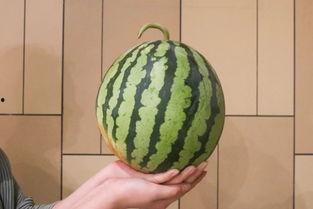 西昌17度吃瓜视频今天,夏日清凉一夏