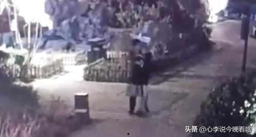 黑市老板吃瓜视频大全,揭秘幕后风云与人性百态