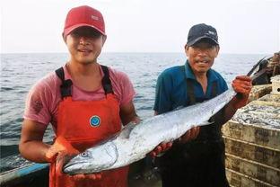 渔民出海吃瓜视频大全,瓜田里的欢乐时光视频集锦