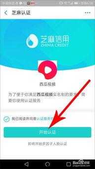 吃瓜理财视频教程完整版,视频教程完整版精华概述