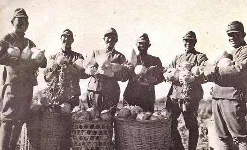 鬼子进村吃瓜视频大全集,揭秘日军侵华恶行视频大全集