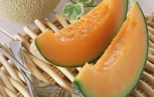 小蜜吃哈密瓜视频,甜蜜瞬间尽收眼底