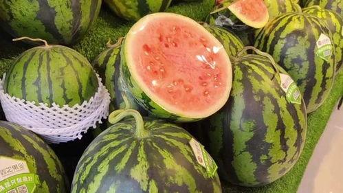 每日吃瓜会视频,揭秘娱乐圈幕后故事，带你领略明星真实生活