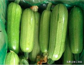 白瓜能不能炒着吃呀视频,美味家常菜谱大公开