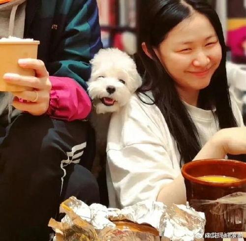 吃瓜的视频情侣头像,甜蜜吃瓜，甜蜜秀恩爱