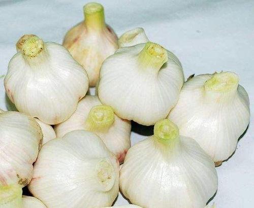 偷吃大蒜吃瓜小视频大全,趣味小视频大盘点