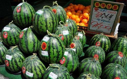 在网上卖吃瓜视频违法吗