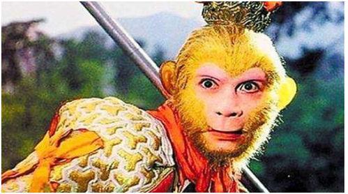 猴王吃瓜角色扮演视频,瓜果盛宴欢乐多