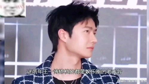 吃瓜大会综艺视频,揭秘综艺幕后，明星互动大揭秘