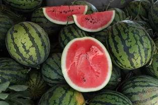 拍个吃瓜视频多少钱一个,制作吃瓜视频的成本解析