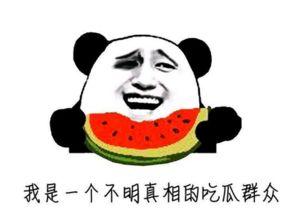 中国最牛吃瓜群众视频,视频背后的网络现象与影响力