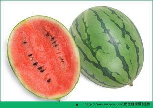 吃瓜过敏的视频,视频揭示惊人真相