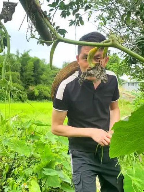 吃瓜搞笑大妈视频合集大全