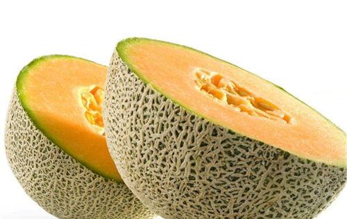 宠物吃哈密瓜好吗视频教程,哈密瓜的益处与食用方法