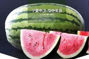 鲤鱼的吃瓜视频,揭秘网络红人的幕后故事