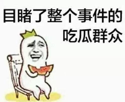 吃瓜群众大胖子视频播放