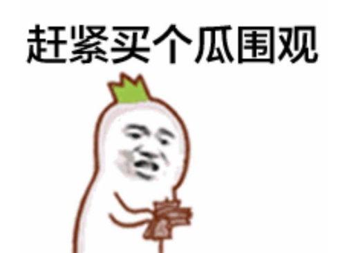 吃瓜群众大胖子视频播放  第2张