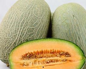 吃洋葱哈密瓜的视频,一场视觉与味蕾的双重盛宴 第2张 吃洋葱哈密瓜的视频,一场视觉与味蕾的双重盛宴 第2张