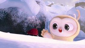 吃瓜图片搞笑视频高清  第3张