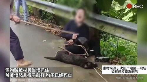 吃瓜被爷爷的棍子砸伤视频,一场意外的家庭悲剧 第3张 吃瓜被爷爷的棍子砸伤视频,一场意外的家庭悲剧 第3张