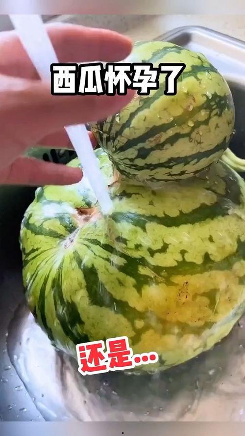 买瓜吃瓜搞笑视频大全,买瓜吃瓜搞笑视频大盘点  第2张