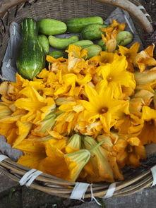 随州市吃瓜视频,揭秘当地美食文化盛宴