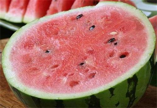 吃整个麒麟瓜的视频 第2张 吃整个麒麟瓜的视频 第2张