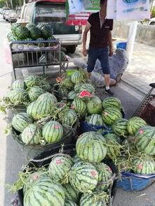 新沂吃瓜王庄事件视频,一场引发热议的网络风波  第3张